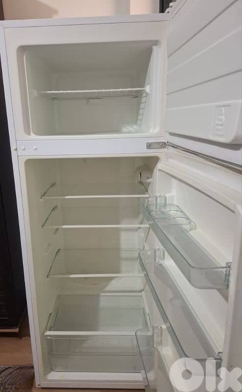 Refrigerator (Blue berry) 2