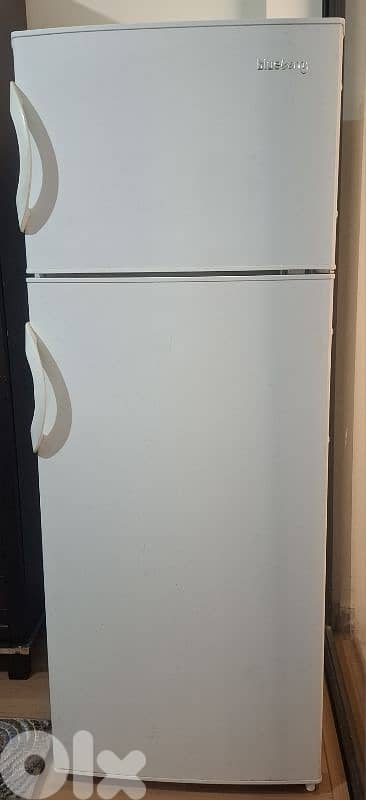 Refrigerator (Blue berry) 3