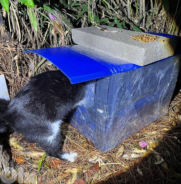 Outdoor Cat House Waterproof amazing idea !! wtsp 78888700 2