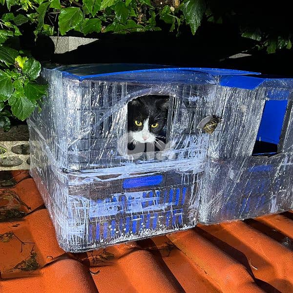 Outdoor Cat House Waterproof amazing idea !! wtsp 78888700 3