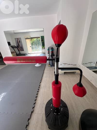 All-in-One Boxing Reflex & Striking Training Stand