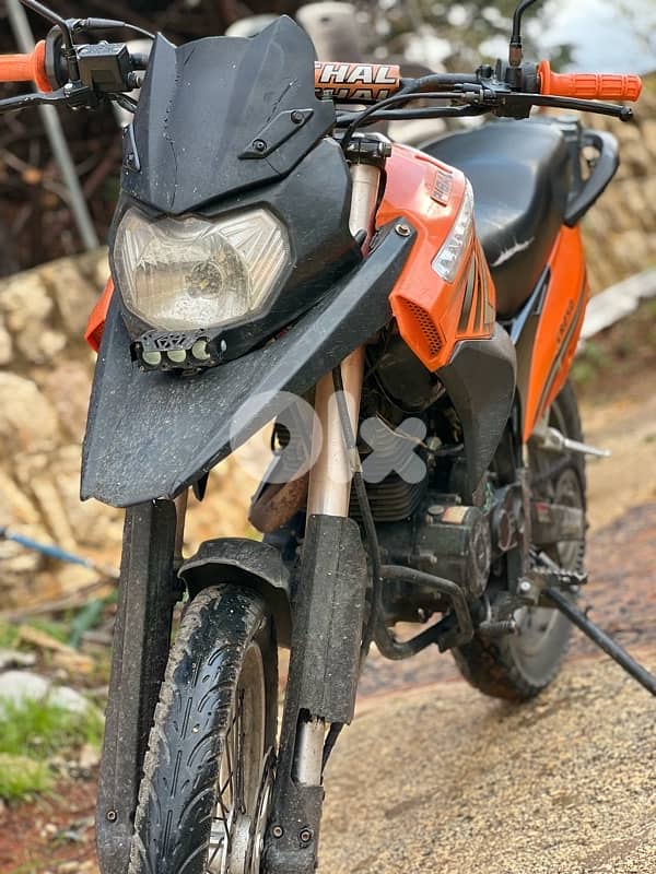 ribal 2008 250 cc 1