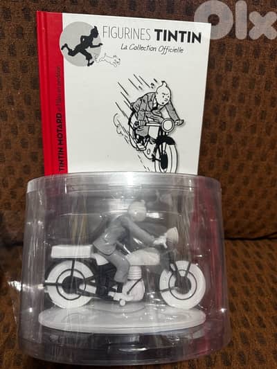 Tintin