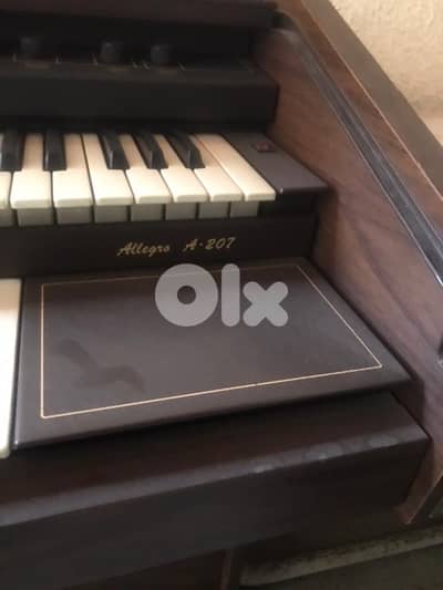 Jen electronic organ