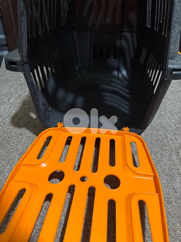 brand new cats home 1