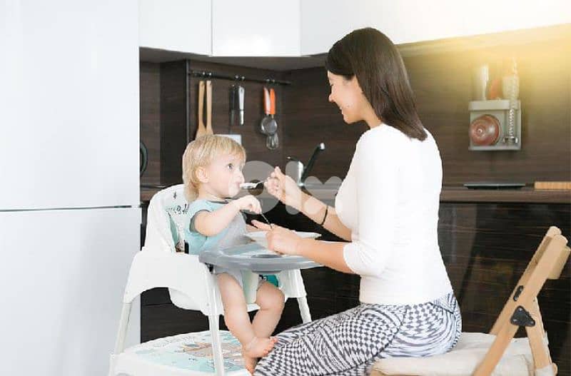 Safe Line 2 in 1 High Feeding Chair 1