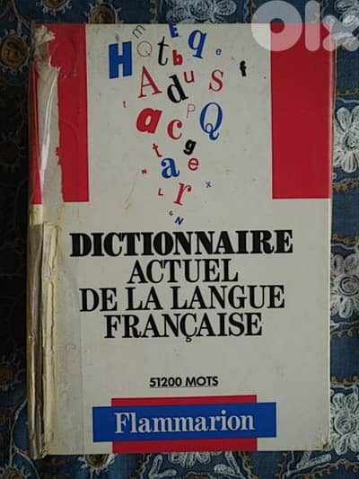 Dictionnaire actuel de la langue française