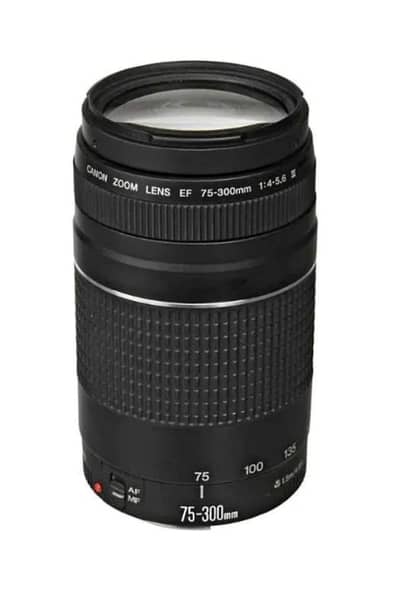 Lens 75-300