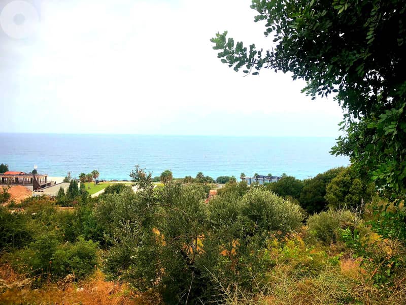 Land Thoum for sale/ 30% ROI / 70M facade on Tripoli- Beirut Highway/ 3