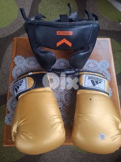 head protection and gloves