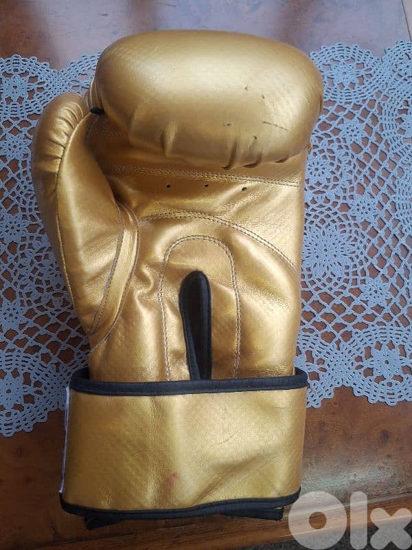 head protection and gloves 2