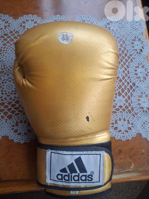 head protection and gloves 3