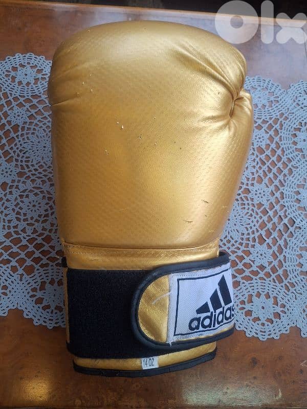 head protection and gloves 4