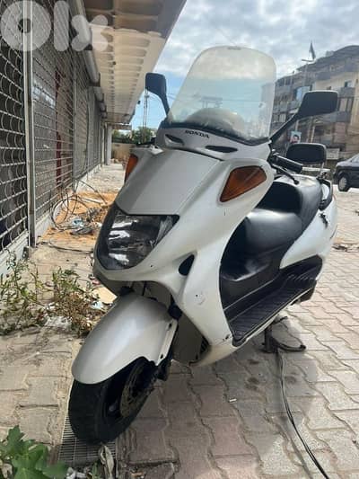 موتسيكل forsight