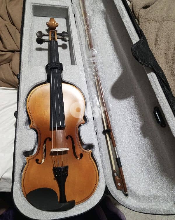 violin 4
