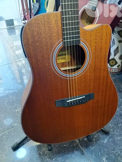 guitar electro accoustic