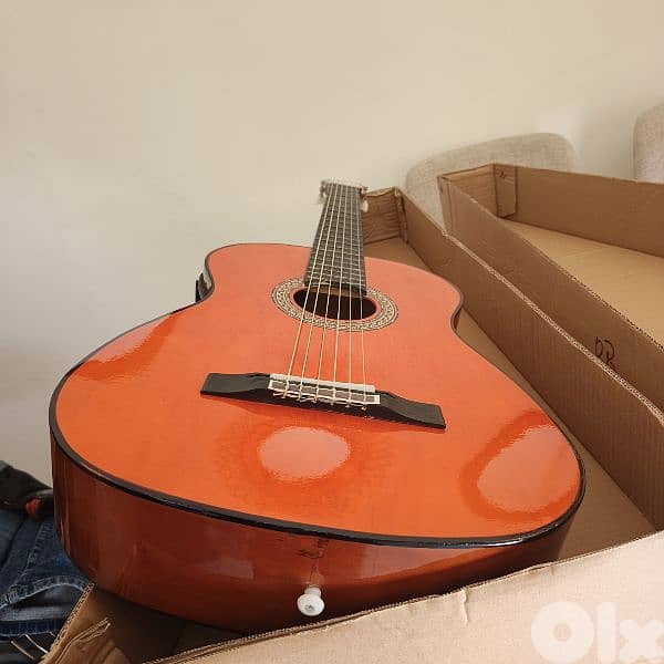 guitar electro accoustic 3