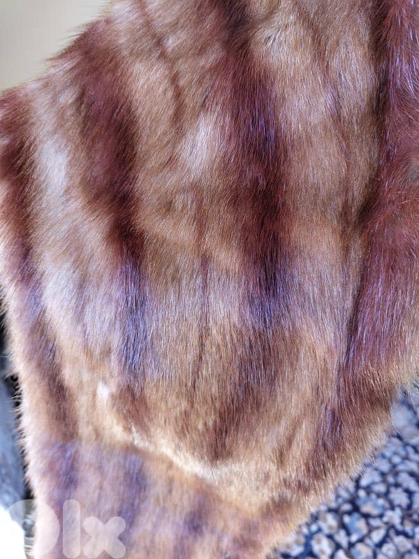 Fur collar طوق فرو للرقبة 2