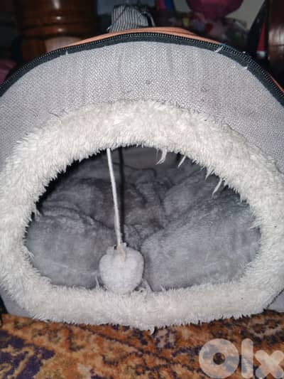 عين الرماني