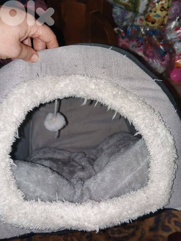 عين الرماني 1