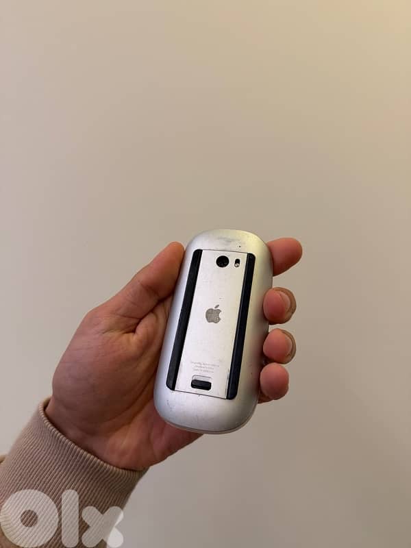 apple magic mouse and keyboard 1