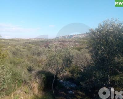 Olive-Grove Agricultural Land – Anfeh, Koura/أنفه  REF#MW131443
