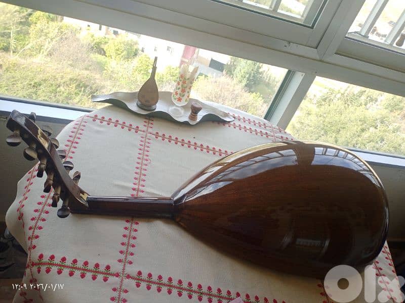 عود جميل بسعر مناسب 1