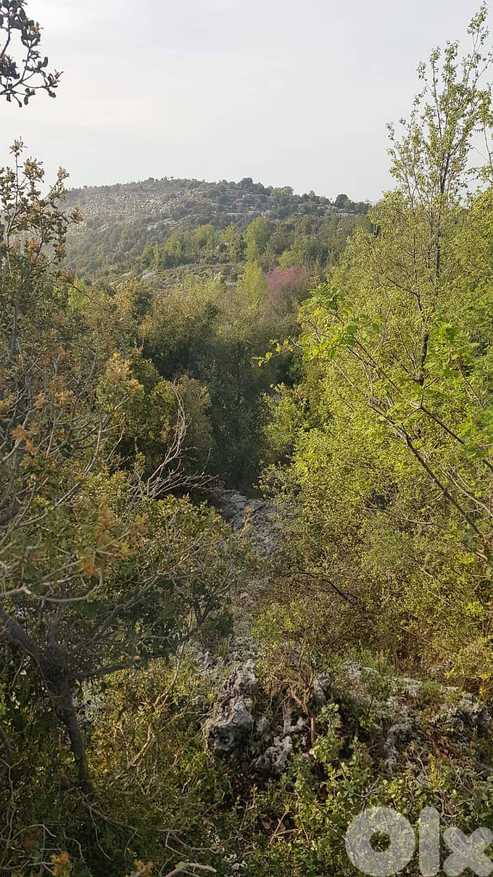 REF#RS131457 villas project, Flat land Lehfed – Jbeil/لهفيد - جبيل 3