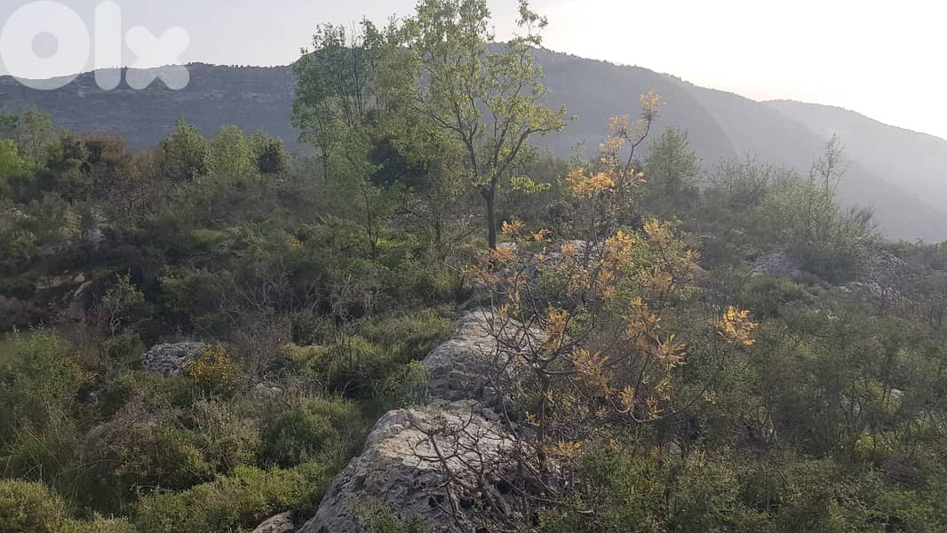 REF#RS131457 villas project, Flat land Lehfed – Jbeil/لهفيد - جبيل 8