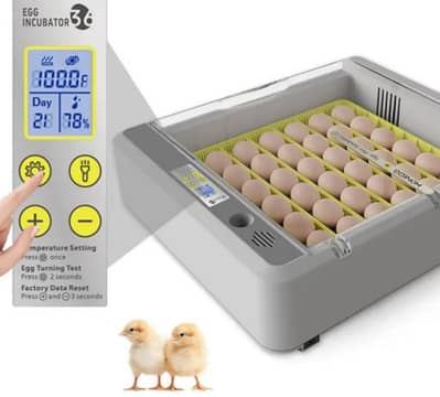 فقاسات بيض ٠٣٣٩٨٩٨٠