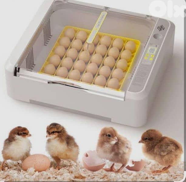 فقاسات بيض ٠٣٣٩٨٩٨٠ 1