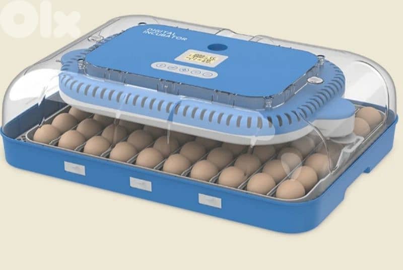 فقاسات بيض ٠٣٣٩٨٩٨٠ 3