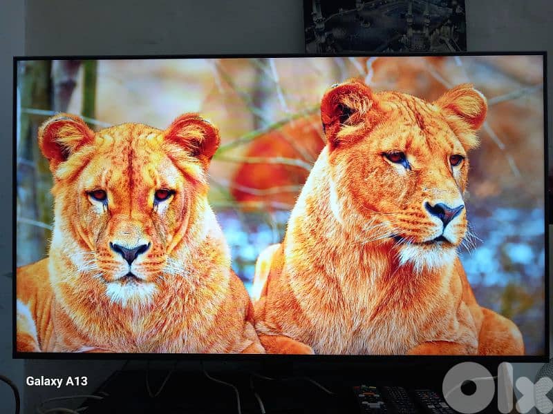 SAMSUNG OLED S90C 3