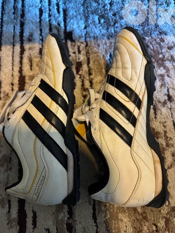 adidas puntero 1