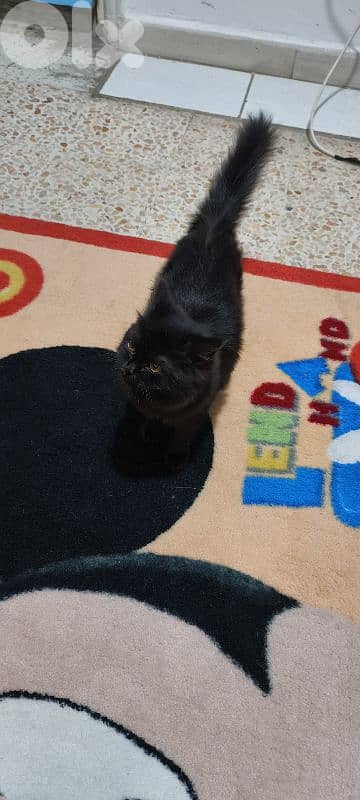 بشارة الخوري