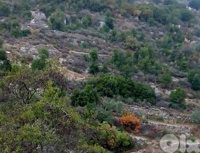 lands for sale in Mehmarech أرض للبيع "لقطة" في محمرش