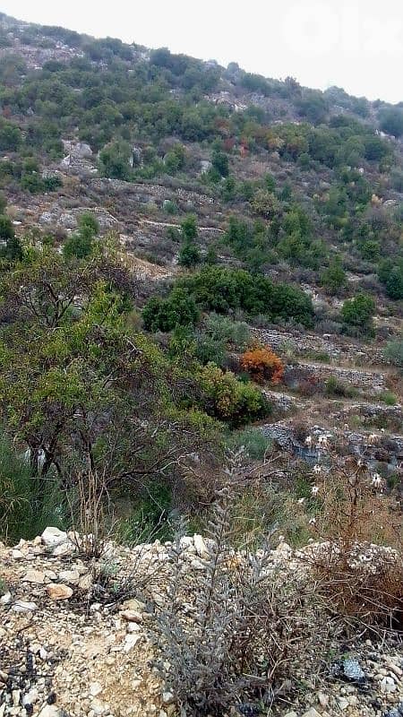 lands for sale in Mehmarech أرض للبيع "لقطة" في محمرش 1