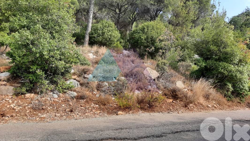 1610m2 land+mountain view 4sale in Ouyoun Broumana - عيون برمانا 1