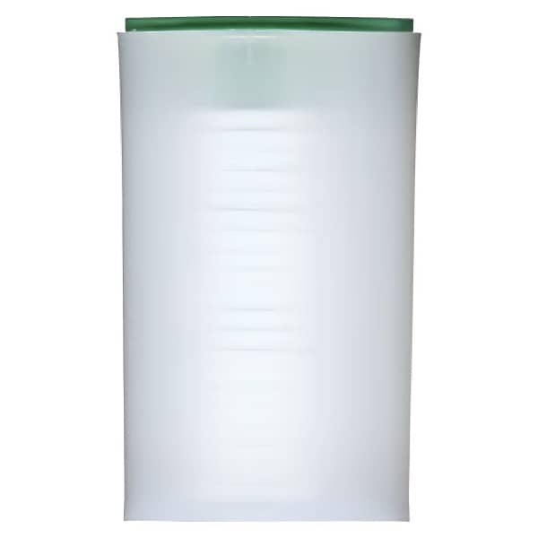 American Eagle SILVER 2