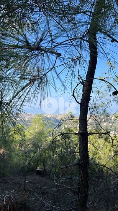 ارض للبيع في مجدولين صيدا