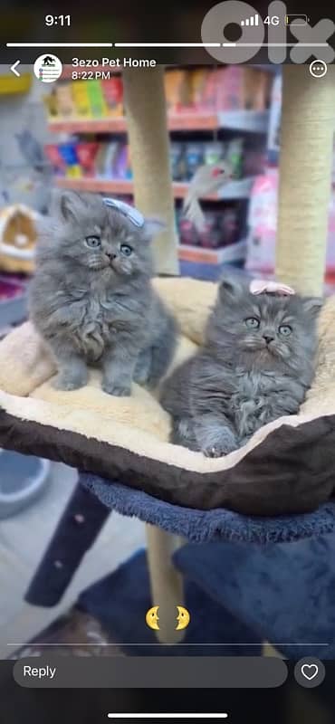 for contact 81102512 5