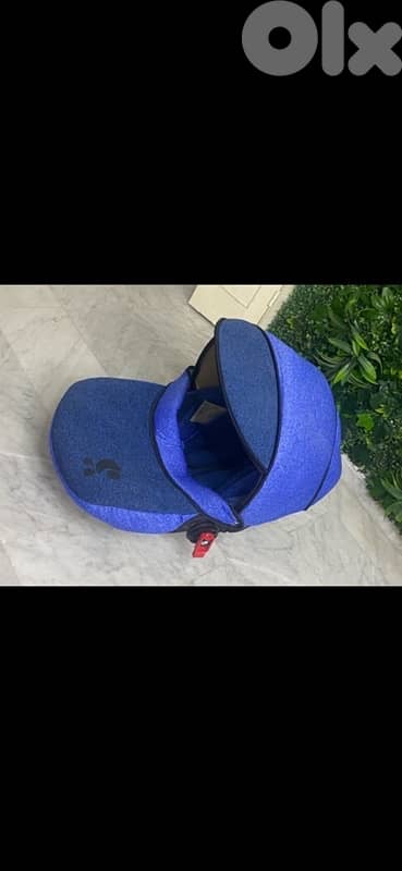 كارسيت بيبي 1