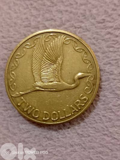 المتن لبنان