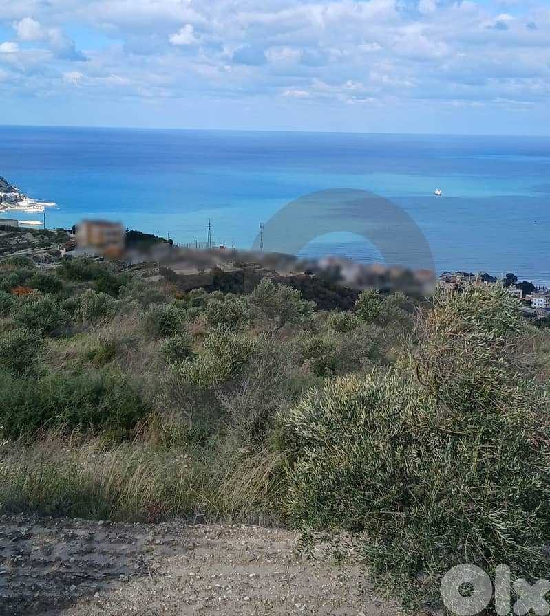 full sea view, 60$/sqm, kefraya/كفريا REF#BR131537 1