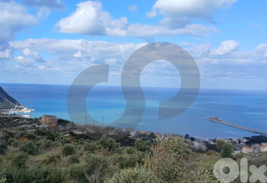 full sea view, 60$/sqm, kefraya/كفريا REF#BR131537 2