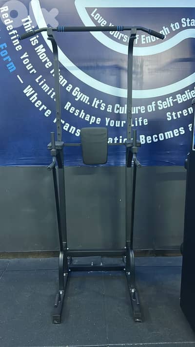 Brand new- not used yet- pull up and dips