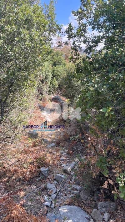 Land for Sale in Mar Mama, Batroun أرض للبيع في مار ماما، البترون