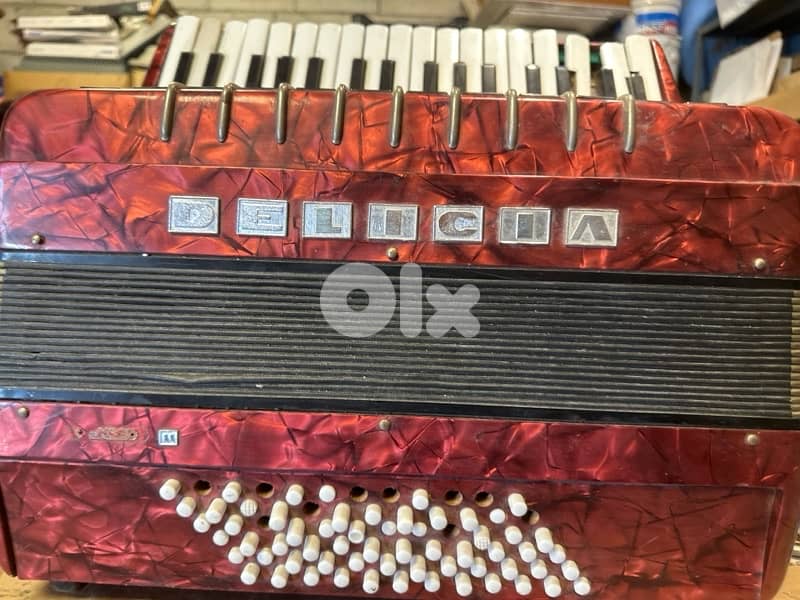 antique delicia accordion 1