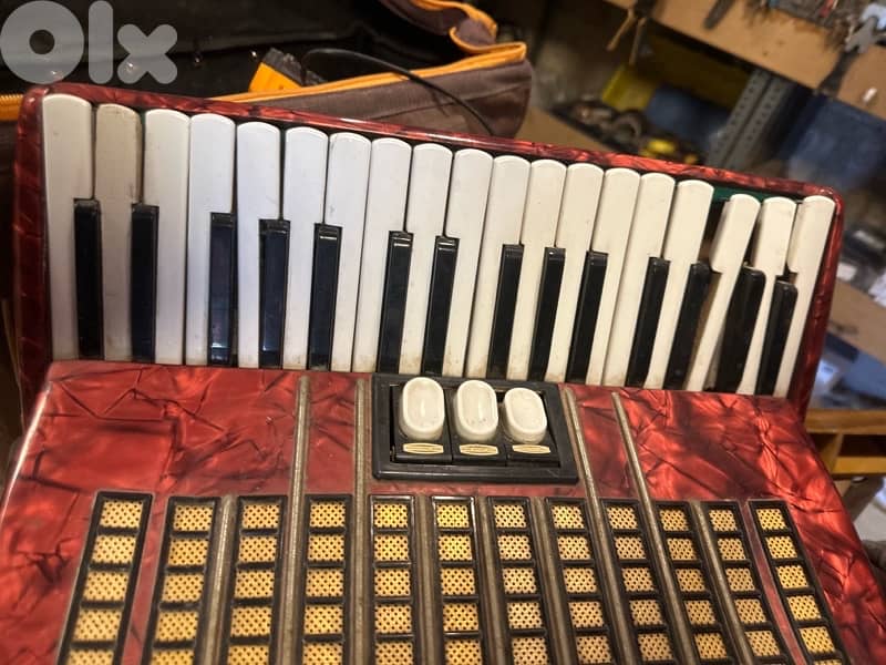 antique delicia accordion 3