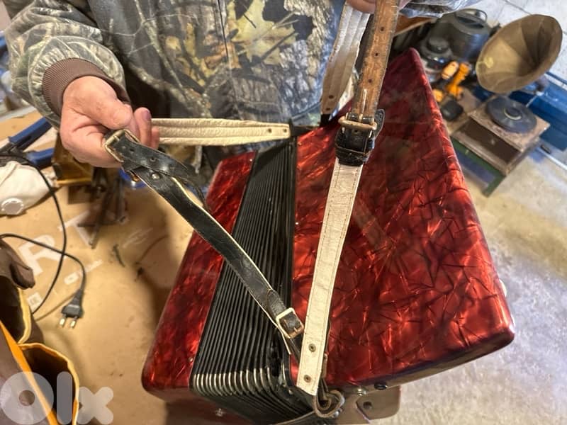antique delicia accordion 4